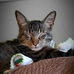 Meet your Posher, Maria